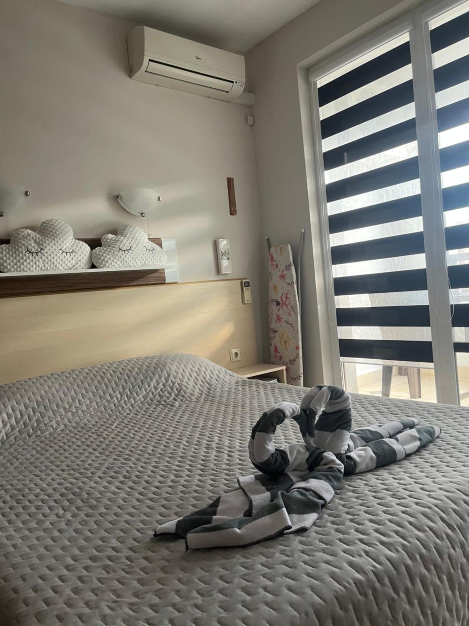 Harmony Hills Petkovi Studio Apartment Rogachevo Bagian luar foto